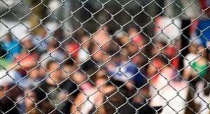 SECURITY FENCING